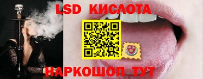 эйфоретик Бузулук